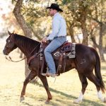Different Types of Western Saddles, Explained by Use