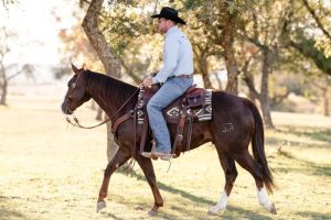 Different Types of Western Saddles, Explained by Use