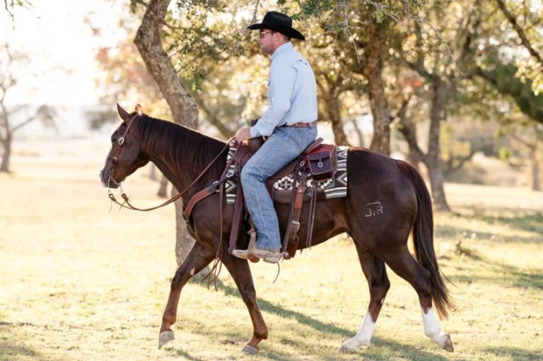 Different Types of Western Saddles, Explained by Use